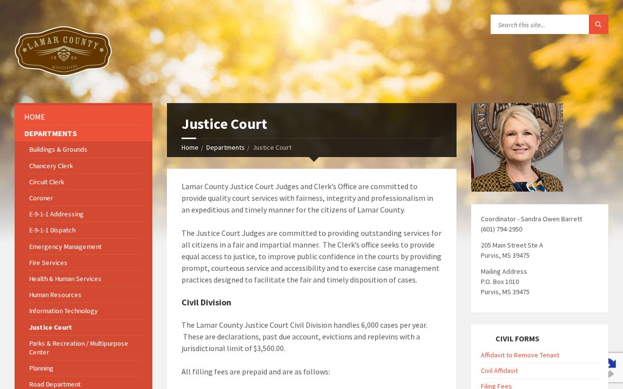 Lamar County Justice Court official information page